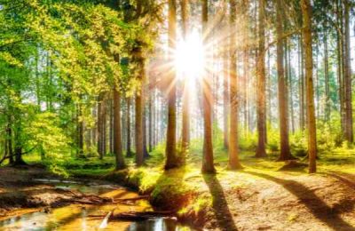 sonne sonne